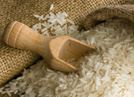 揚帆啓航，暢捷通T+助仙源米業再創輝煌